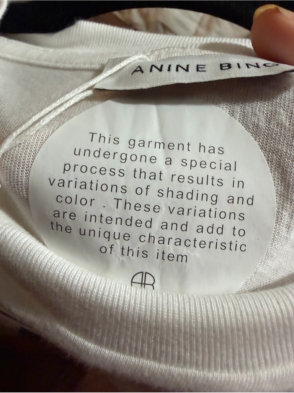 Anine Bing Ashton Spirit Printed Cotton T-shirt NWT Sz xs oversized - Picture 7 of 8